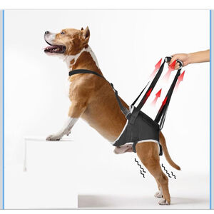 NEW Dog Lift Harness Post Surgery Support Senior Dogs L